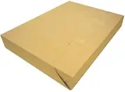 MS Carbonless Paper, A4, N50, 100 Sheets