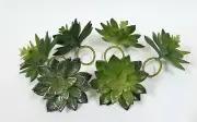 FLORA BUNDA SET OF 6 PLASTIC CHARMING SUCCULENT JADE CACTUS NAPKIN RINGS,HOLDER