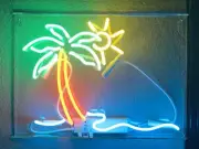 Beach Palm Tree Sun Acrylic 14" Neon Light Sign Lamp Beer Bar Club Wall Decor