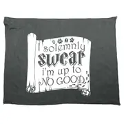Solemnly Swear Im Up To No Good - Funny Novelty Soft Sport Microfiber Towel