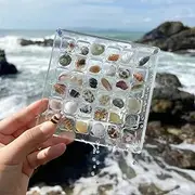 PACIOCEAN Clear Mini Seashell Wall Storage Display Organizer Box Stackable, Multifunctional Clear Jewelry Display Organizer Case,Acrylic Magnetic Seashell Display Box(36/64/100 Grids ) ﻿﻿﻿