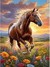 Horse Diamond Painting Kits for Adults - Diamond Art Kits for Adults, Round Animal 5D Gem Art Kit for Adult DIY Crafts Kit Gift Home Wall Decor Gifts (16x12 inch)