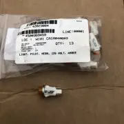 13-AMBER PILOT INDICATOR LIGHT & LAMP SOCKET, 125V,