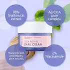 [NEOGEN] Dermalogy Cica Repair Snail Cream 50ml - Korea Beauty
