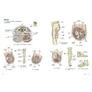 人體解剖全書 第三版【金石堂】