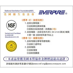 EVERPURE愛惠浦【公司貨】【下單領10%蝦幣回饋相當於打9折】咖啡機專用MH2濾心【 9000加侖】