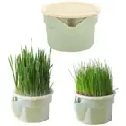 Easy To Grow Cat Grass Box Planter Hydroponic Grass Sprouter Tray Indoor Cats