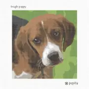Beagle Puppy Needlepoint Kit or Canvas