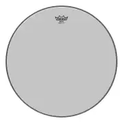 Remo Banjo Head - Cloudy - Medium Collar - 11" - BJ-1100-M4