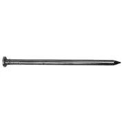 PRO-FIT 12" Hot Dipped Galvanized Common Spike Nails for DIY Projects (150-Pack)