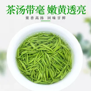 【茶品名】毛尖茶 毛尖茶葉 【明禹】信陽毛尖特級嫩芽尖2023新茶250g罐裝春尖茶葉綠茶毛尖茶