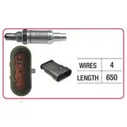 RAE Oxygen Sensor - OX664