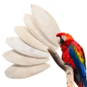 6 Pcs Toys of Bird Natural Chew Cuttlebone for Birds Baby