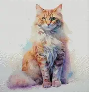 Cat in Color, Pink, 14 Count 200x200 aida, 36x36 cm, Cotton Thread, Counted cat Cross Stitch Kits