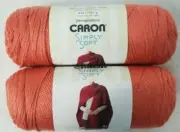 2-Skeins Caron Simply Soft Yarn 6 oz #9805 Persimmon