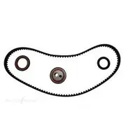 Bearing Wholesalers Timing Belt Kit - TB319