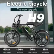 Lagads Ebike H9 48V 15AH 750W 20 "Fat Tire Electric Bicycle