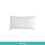 1x Cushion Insert Stock Polyester Premium Lofty Fibre Inserts Pillow 30x50cm