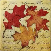 TWO Individual Paper Cocktail Decoupage Napkins - 1556 Autumn Spice