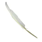 Goose Flight Wing Feather x 5 pcs - White