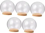 Alipis 5pcs Eternal Flower Glass Cover Decorative Glass Dome with Cork Unique Preserved Floral Display for Home Office Decor Elegant Table Centerpiece for Festivals