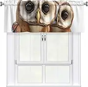 LHBWCVN Funny Owl Valances for Windows, Rod Pocket Window Treatment Drapes Farmhouse Kitchen Curtains Short Blackout Window Curtains for Living Room Bedroom Decor 54x18 Inch