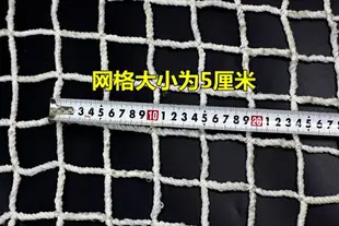 免運 多種規格【可定制】✅3米X6米建築安全網防墜網尼龍工地兒童防護網阻燃網繩攀爬網