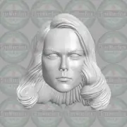 Nicole Kidman Chase Meridian custom head for McFarlane DC & other action figures