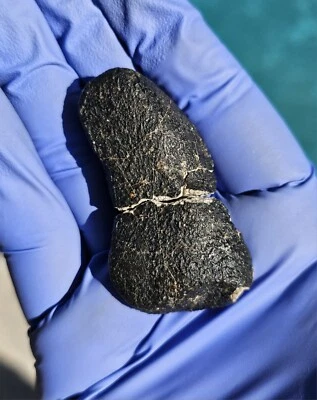 Meteorite**NWA Unc., Eucrite**45.588 gram, Puzzle-Piece W/Glossy Fusion Crust!!!