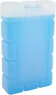 Esky Medium Ice Cooler Brick