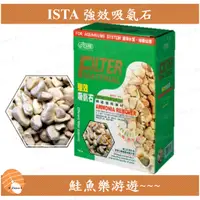 在飛比找蝦皮購物優惠-【鮭魚樂游遊】ISTA 強效吸氨石 700g 吸氨石 魚缸除