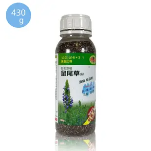 亞積 瑪雅野生原種-鼠尾草籽(頂級奇亞籽)430公克/罐