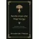 Seeds from the Wild Verge: Myth, Nature, and Theology in the Border Stream of Celtic Wisdom