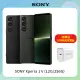 SONY Xperia 1 V (12G/256G)