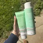 Pacifica Rosemary Purify Clarifying Shampoo & Rosemary Detox Scalp Scrub