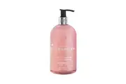 Baylis & Harding Anti-Bacterial Hand Wash Wild Rhubarb & Pink Pepper 500mL