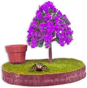 Daerky Jumping Spider Wall Bracket - Magnetically Concealed Habitat With Handmade Climbing and Feeding Platform - Enclosure Accessory for Small Spiders