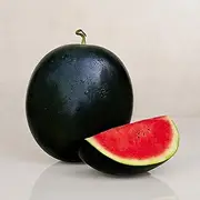 Watermelon Sugar Baby 10 Seeds Heirloom Spring Summer Vegetable Garden Easy Grow
