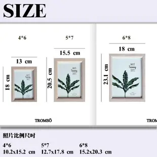 TROMSO瓦克隆木紋4X6相框-原木色