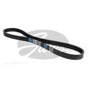 Gates Drive Belt Micro-V - 6PK842SF