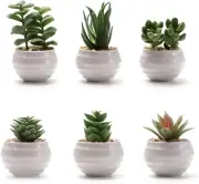 6 Packs Succulents Fake Plants,Small Artificial Plants Indoor,Green Bookshelf Dé