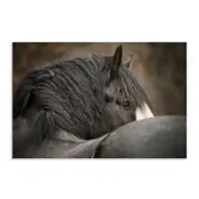 Artey | Looking Back - Stretched Canvas - Stretched Canvas - 100 x 150cm