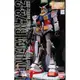 萬代 MG 鋼彈 RX-78-2 Ver.1.0 1/100 萬年東海