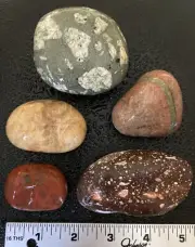 5pc Michigan Rocks -Jasper Unakite Amygdaloidal Basalt Brecciated Feldspar 1.2LB