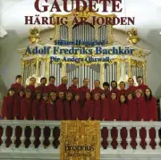 Adolf Fredriks Bachk - Gaudete / H Rlig R Jorden [New CD]