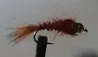 1 Dozen - BH Flashback Brown Hare's Ear - Wet Nymph Fly - Trout