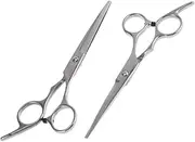 2pcs Hairdressing Scissors Barber's Shears Hair Styling Tools Hair Salon Cutter Haircut Scissor Silver