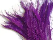 5 Pieces - Purple Bleached & Dyed Peacock Swords Cut Feathers Craft Supplier