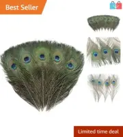 Exquisite 120 PCS Natural Peacock Feathers (10-12 Inch) for Creative Decor