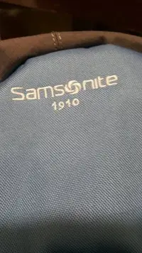 在飛比找Yahoo!奇摩拍賣優惠-美國大品牌，新秀麗Samsonire1910雙肩背包電腦包旅